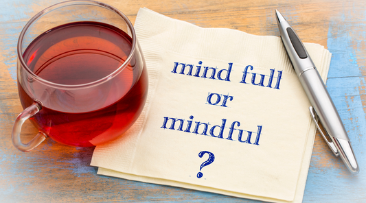 Mind full or mindful blog post